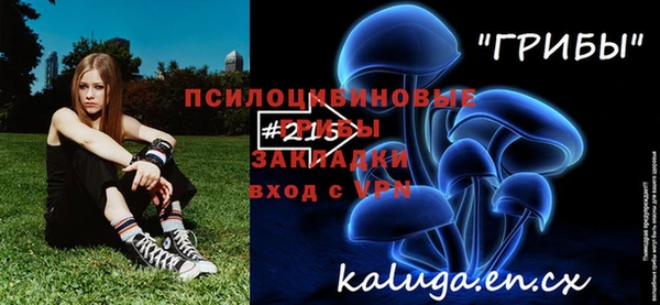 тгк Абинск