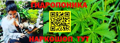 ГАЛЛЮЦИНОГЕННЫЕ ГРИБЫ Мариинск