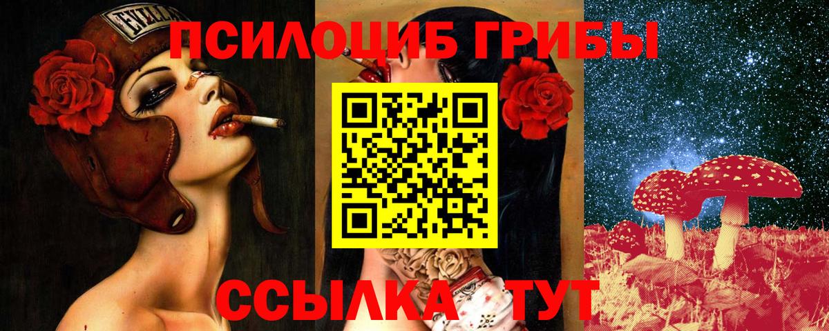 Псилоцибиновые грибы GOLDEN TEACHER Дивногорск